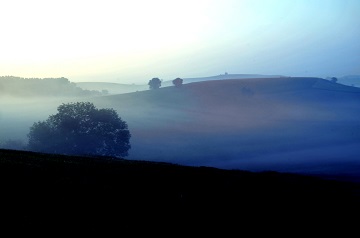 champs dans le brouillar